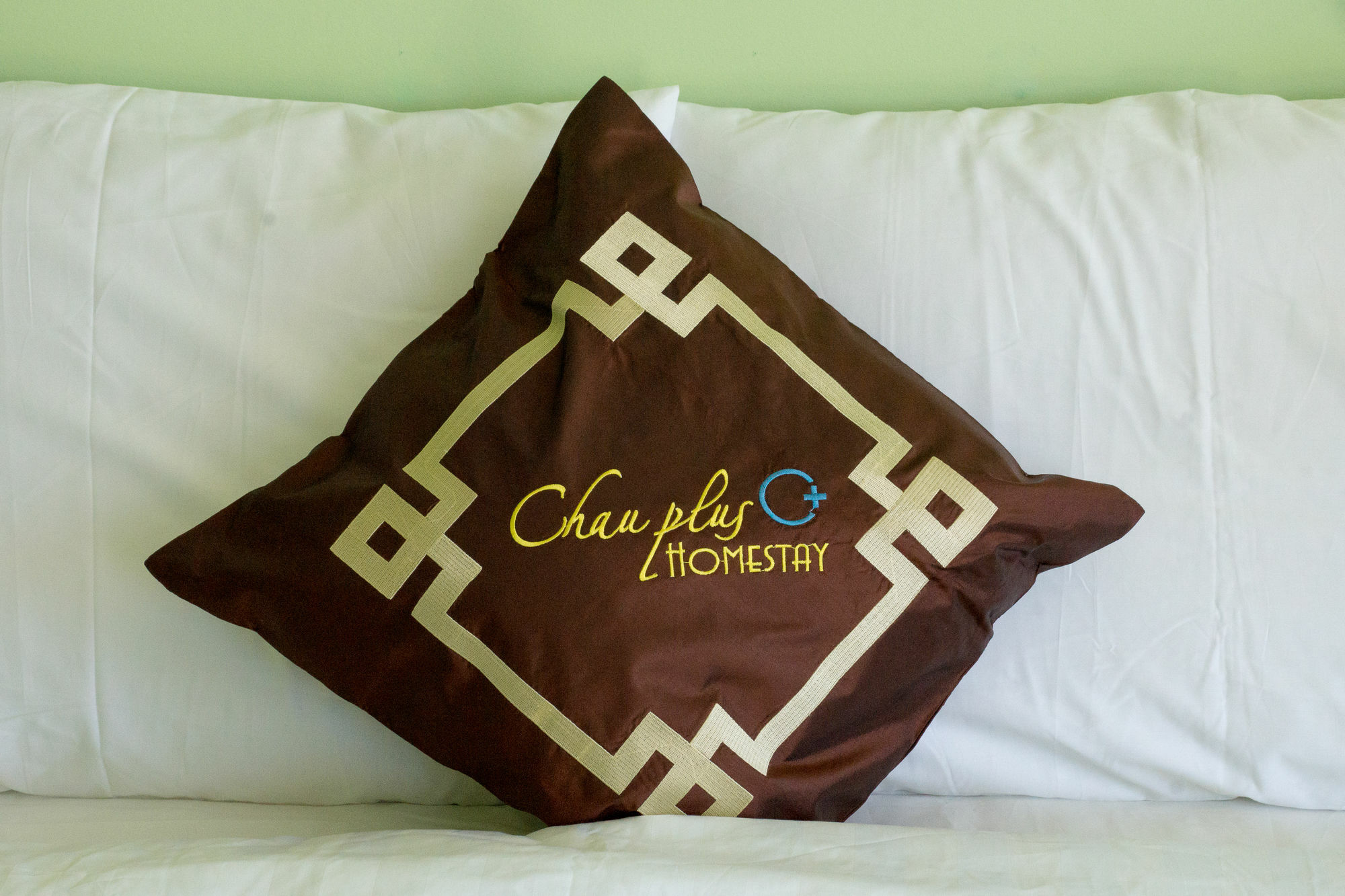Chau Plus Homestay Hoi An Zewnętrze zdjęcie